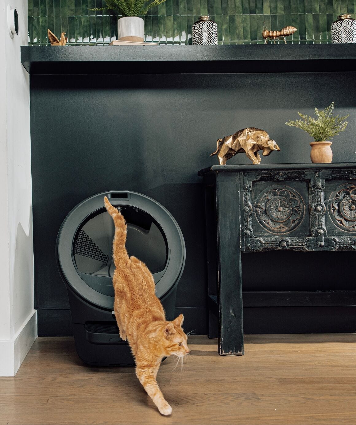 Litter-Robot® 5 Pro