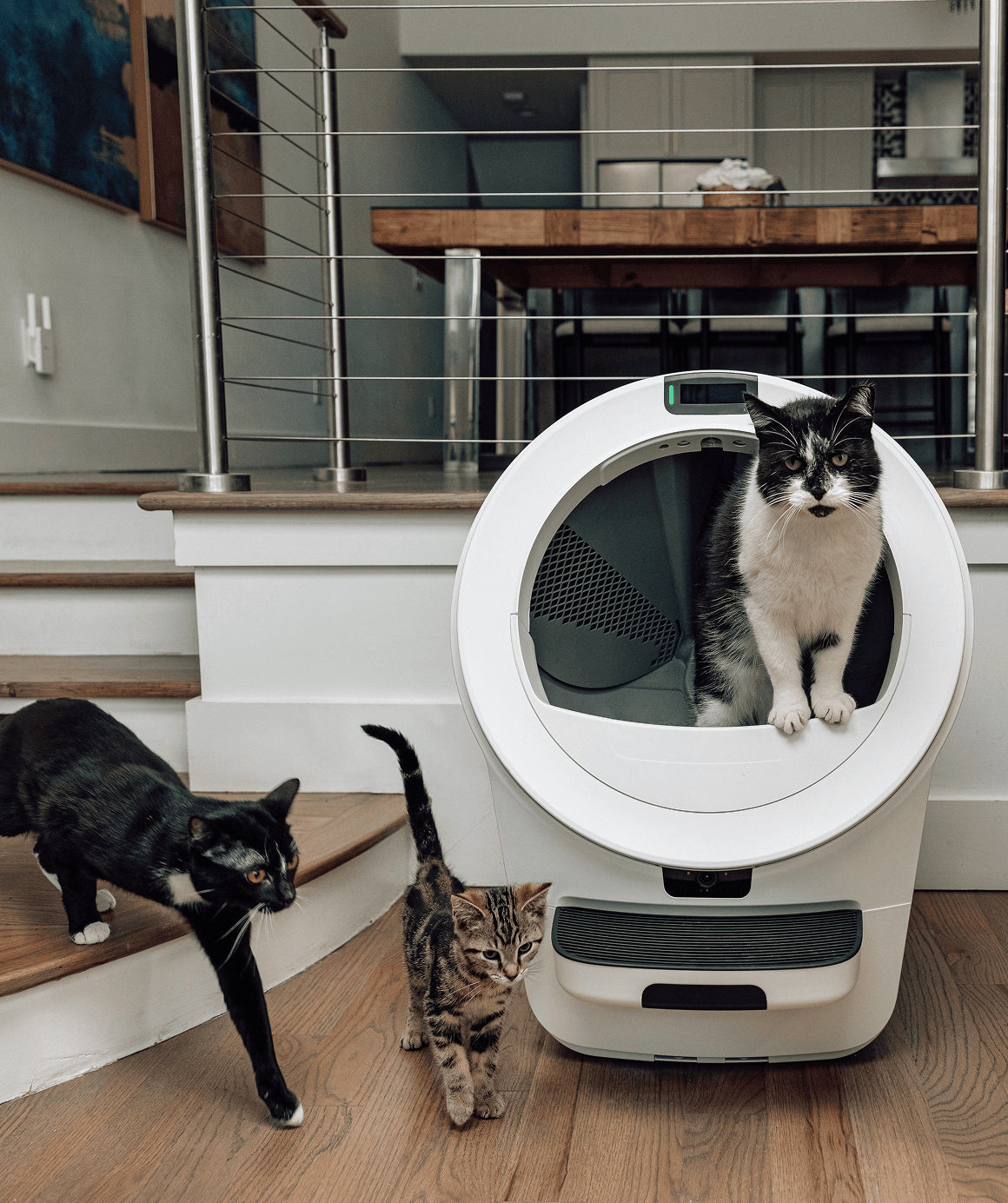 Litter-Robot® 5 Pro